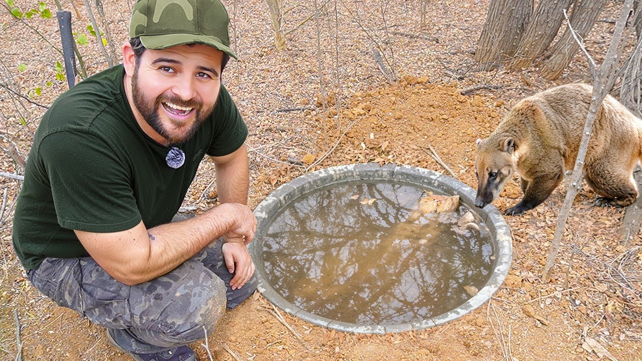 Construí una TRAMPA para CAPTURAR ANIMALES 🐾 En plena sequía
