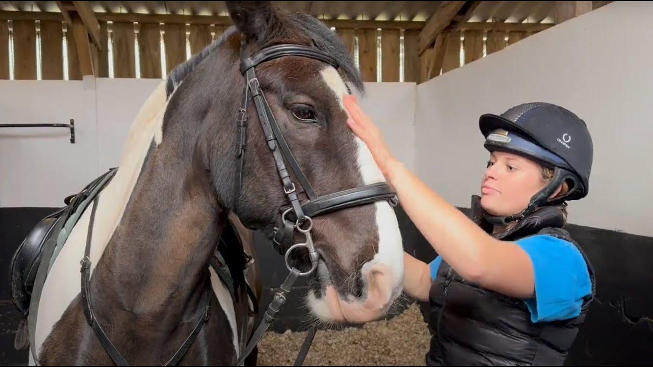King's College Equestrian Centre
