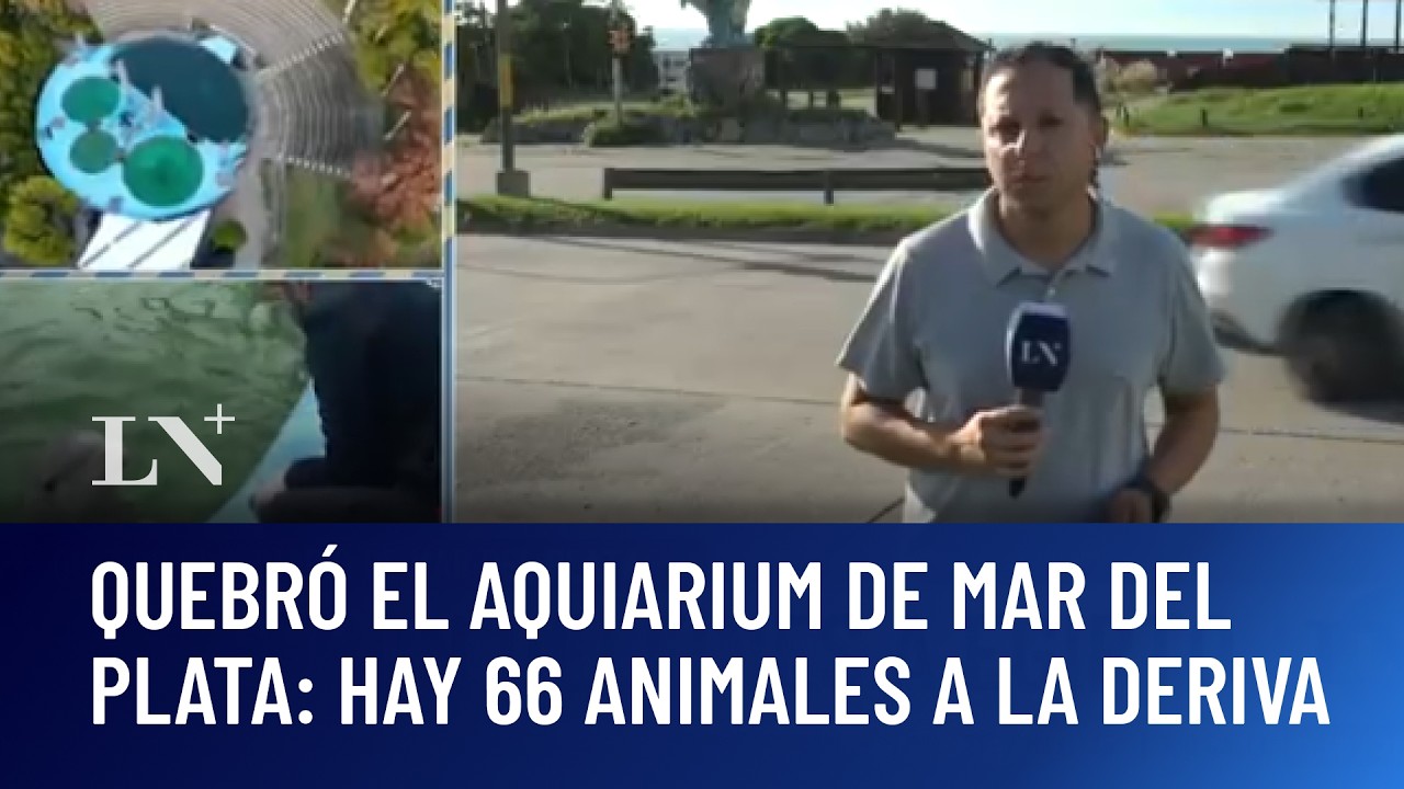 Quebr&oacute; el Aquiarium de Mar del Plata: hay 66 animales a la deriva