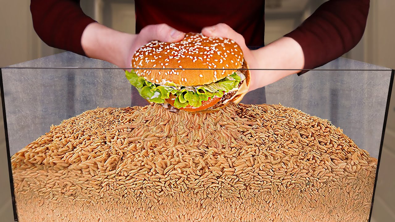 How Quickly The MAGGOTS Eat BURGER?