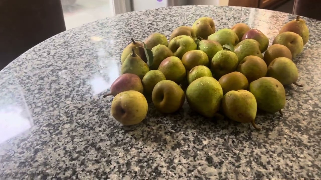 2025 Organic Pears