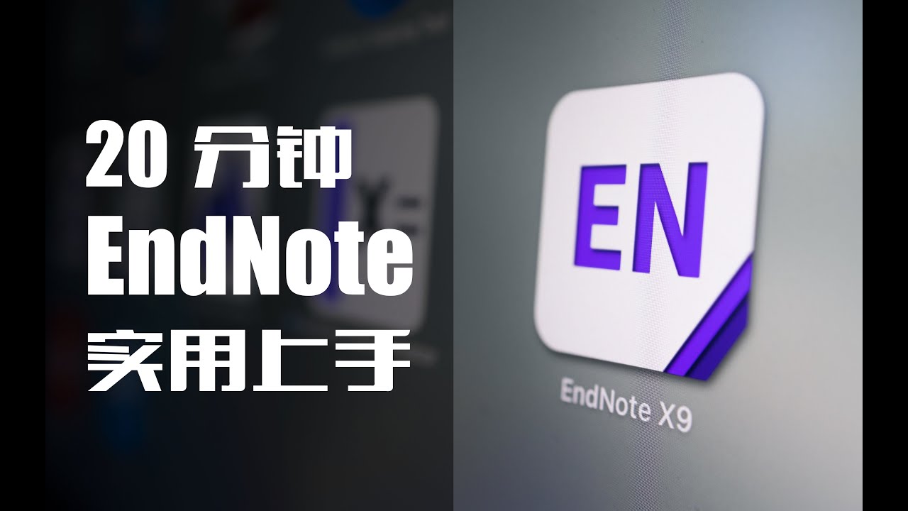 20分钟学会EndNote!｜论文参考文献拯救计划1