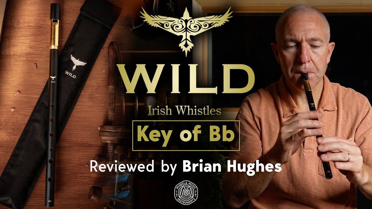 McNeela Wild Irish Whistle (Bb) reviewed by Brian Hughes