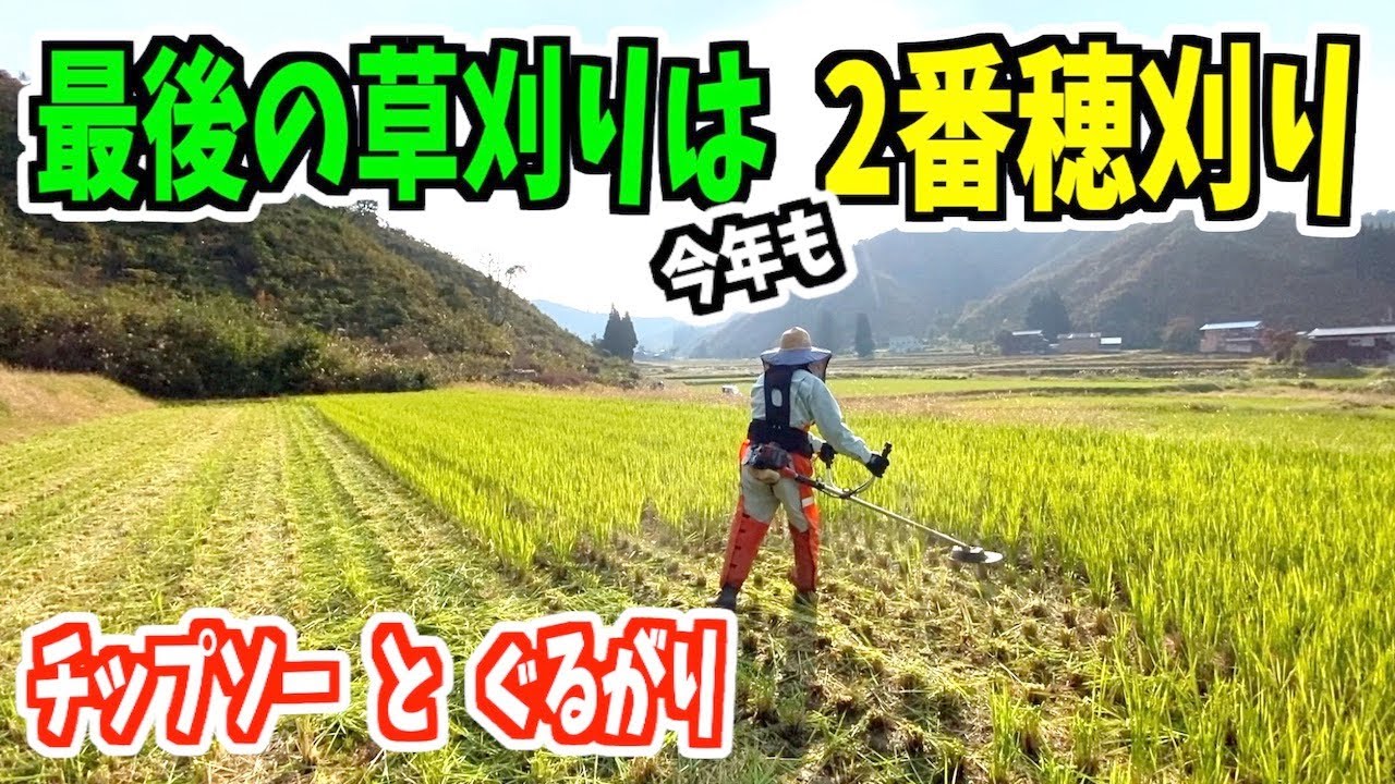 【草刈り】最後はやっぱり二番穂刈り！