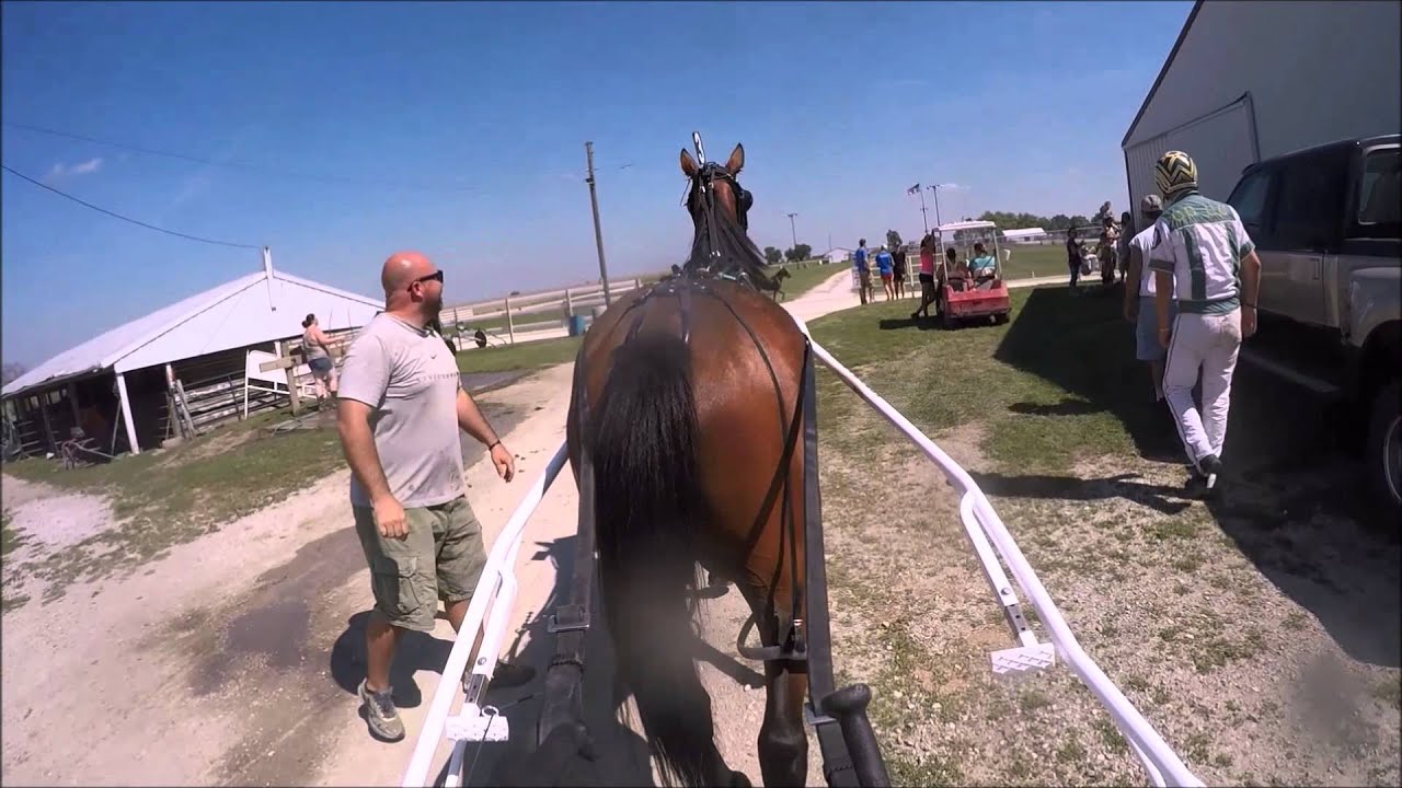 Iowa Harness Racing What Cheer, Ia 09/06/15 GoPro Mark Mintun