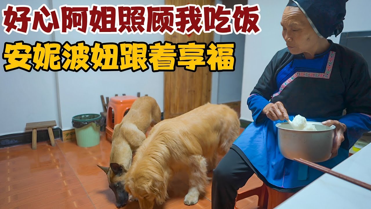 自驾游路上又一次感冒，好心阿姐给我做饭吃，还照顾安妮波妞吃饭【小白的奇幻旅行】