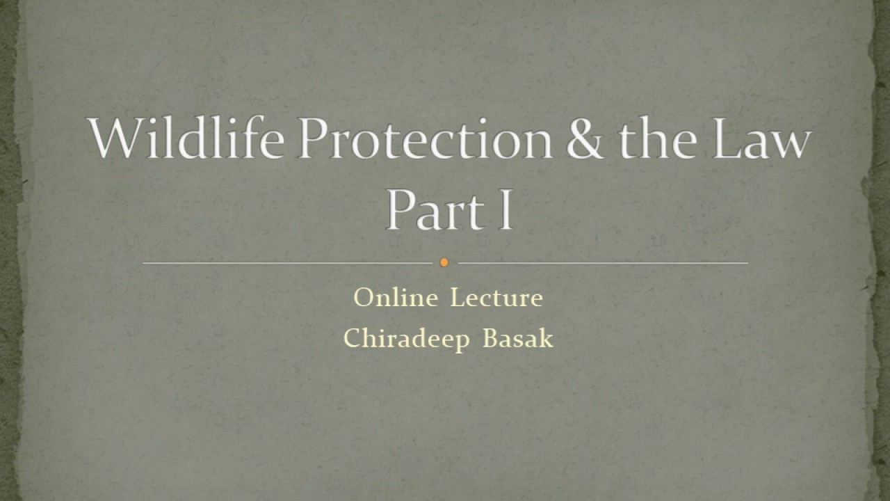 Online Lecture Series- Wildlife Protection & the Law Part I