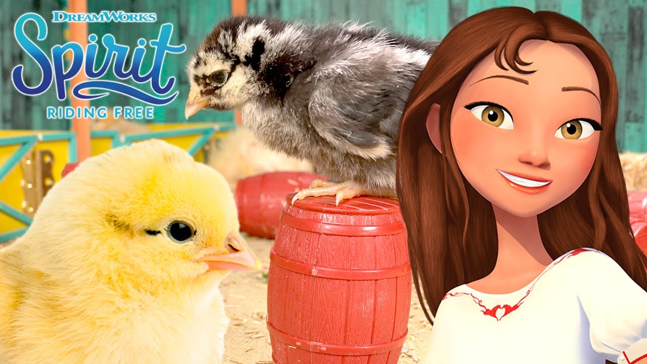 Baby Chicks in the Barn | SPIRIT RIDING FREE
