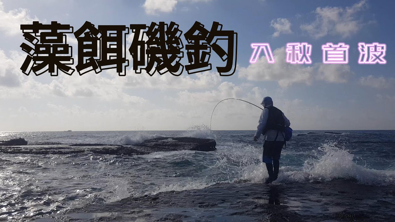 東北角馬崗【入秋藻餌磯釣】