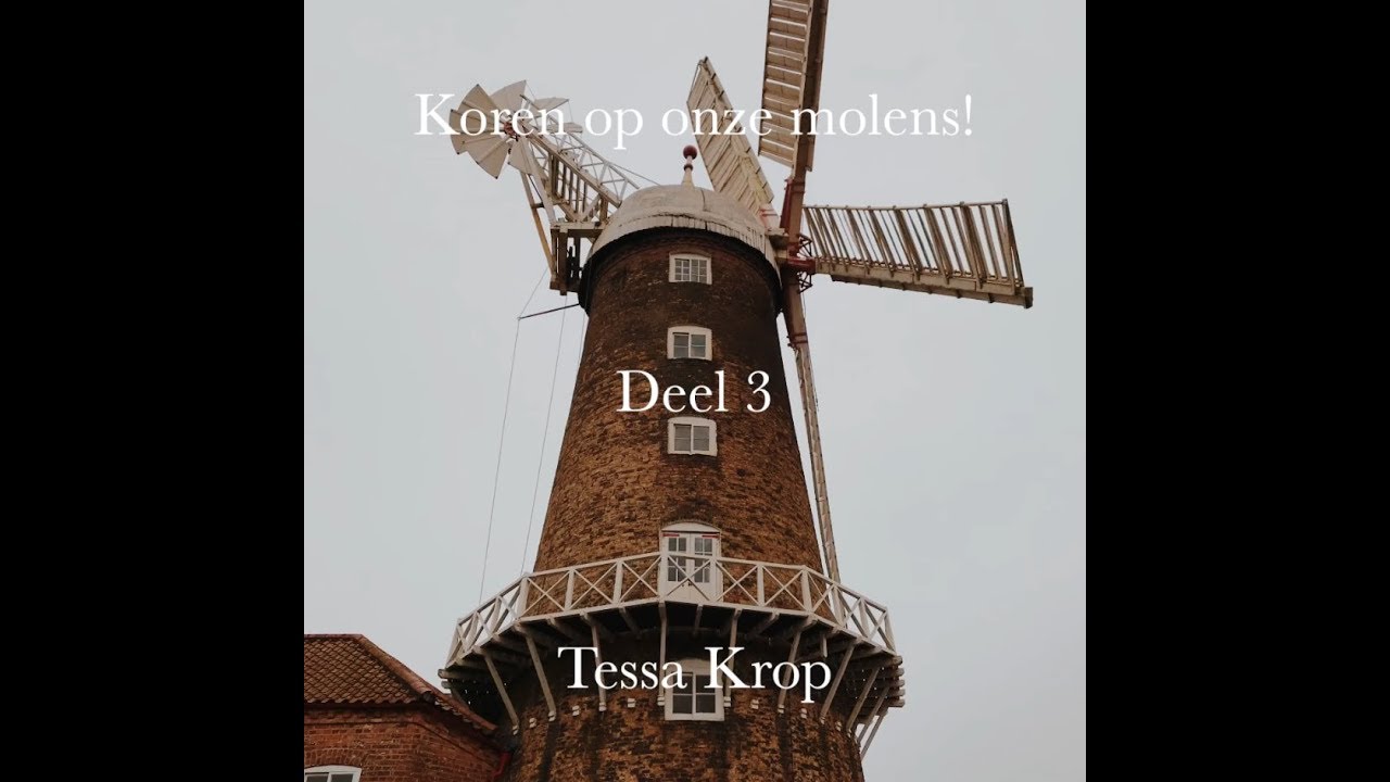 Koren op onze Molens - deel 3