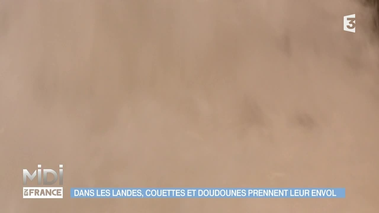 MADE IN FRANCE : Dans les Landes, couettes et doudounes prennent leur envol