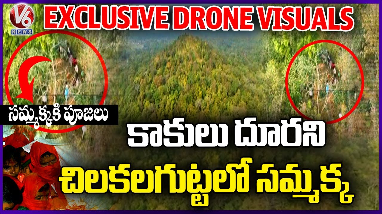 Exclusive Drone Visuals Of Chilakalagutta : Priests Offer Special Prayers To Goddess Sammakka | V6