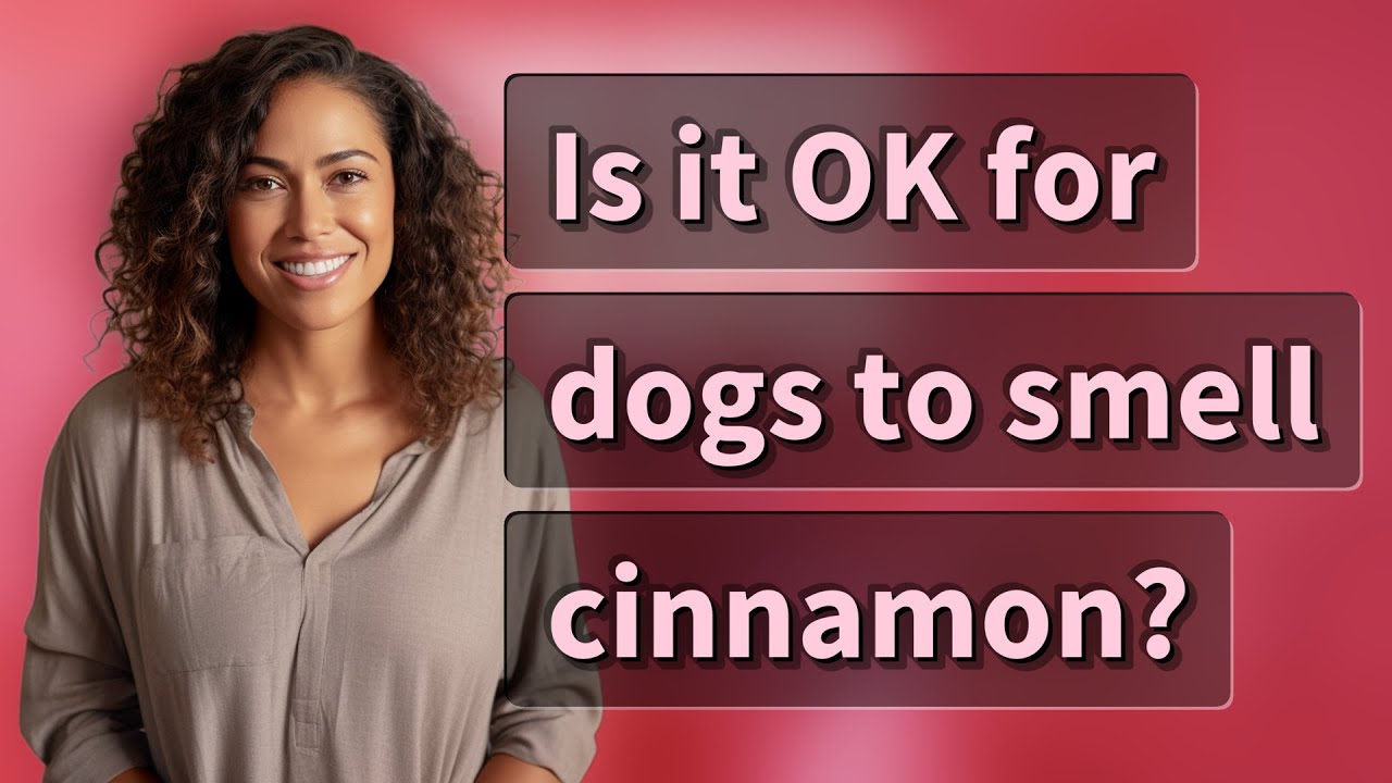 Is it OK for dogs to smell cinnamon?