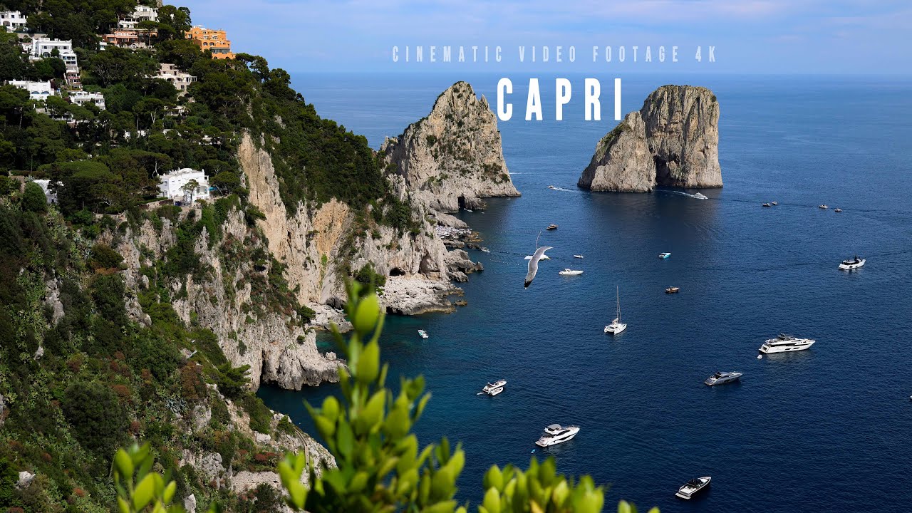CAPRI | DRONE