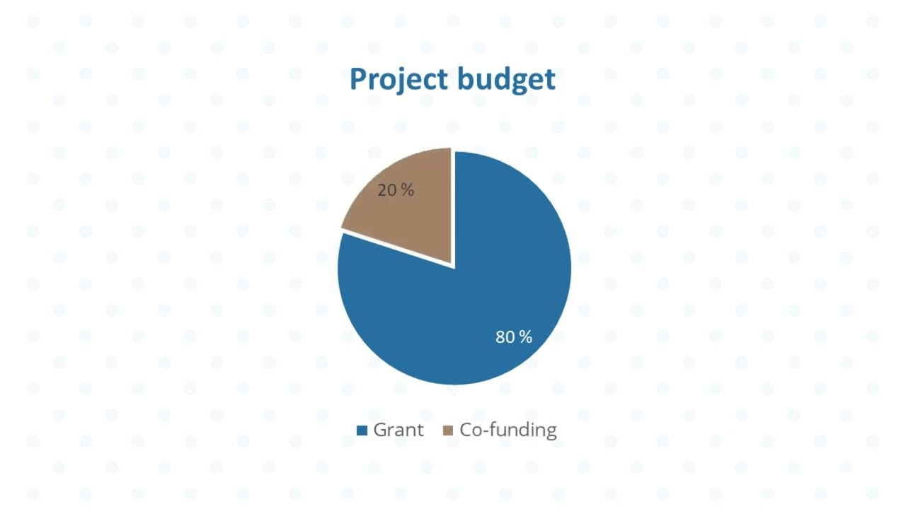 ESF+ Social Innovation+ Initiative&rsquo;s funding scheme and the lump sum funding