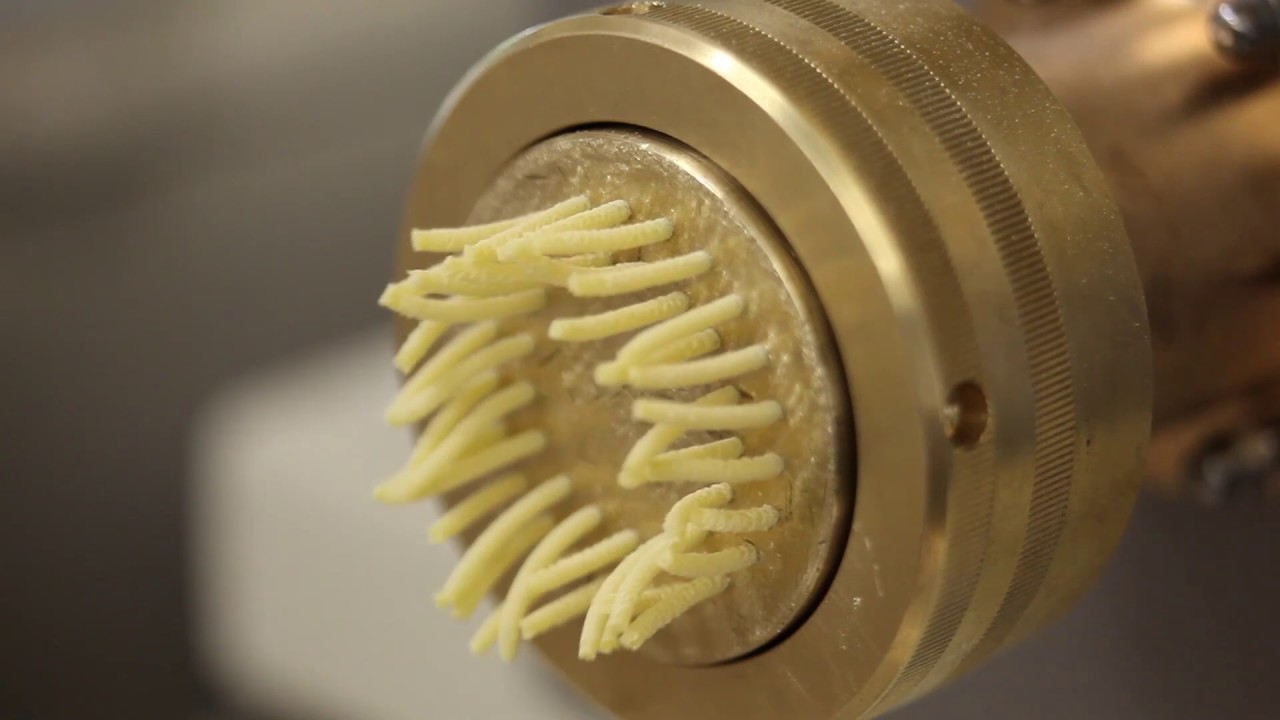 Máquinas automáticas para hacer Pasta fresca- BOTTENE