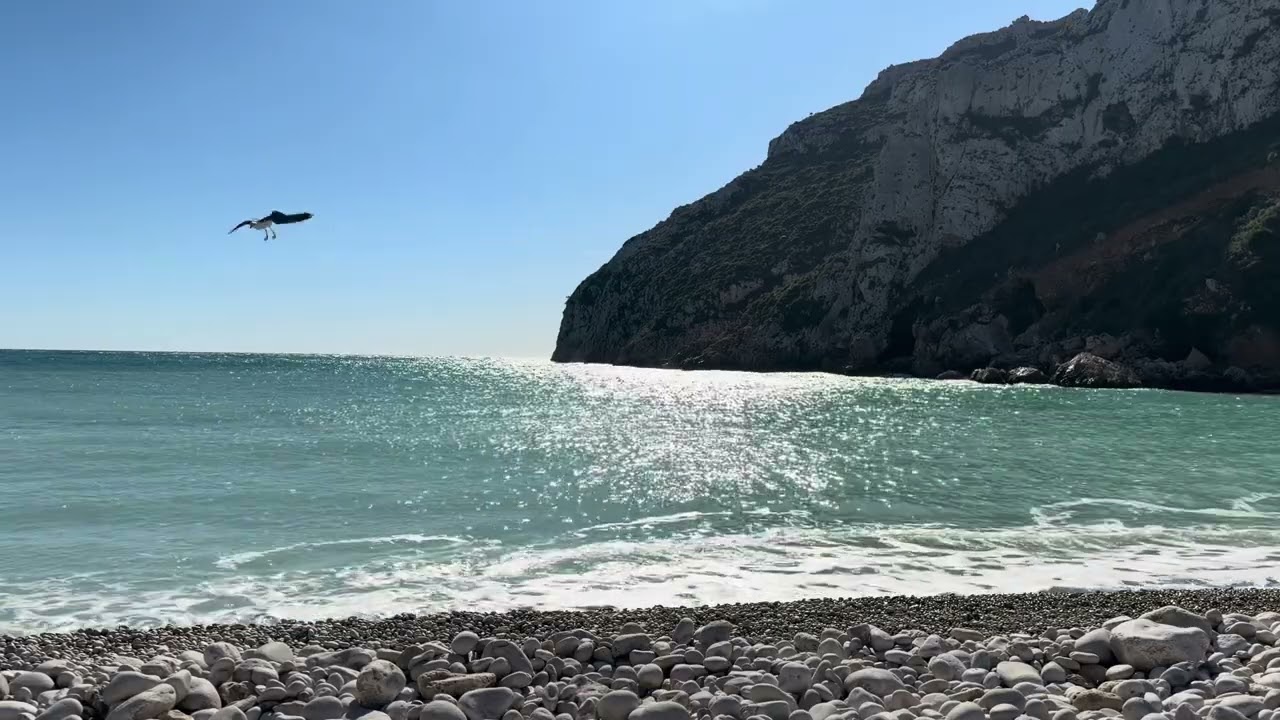 Calm your Anxiety and Panic Attacks 🌊 19 Minutes of Ocean Ambience 