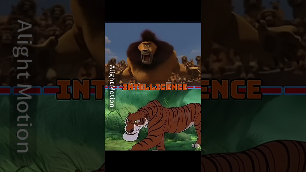 Shere khan vs Teetsi 