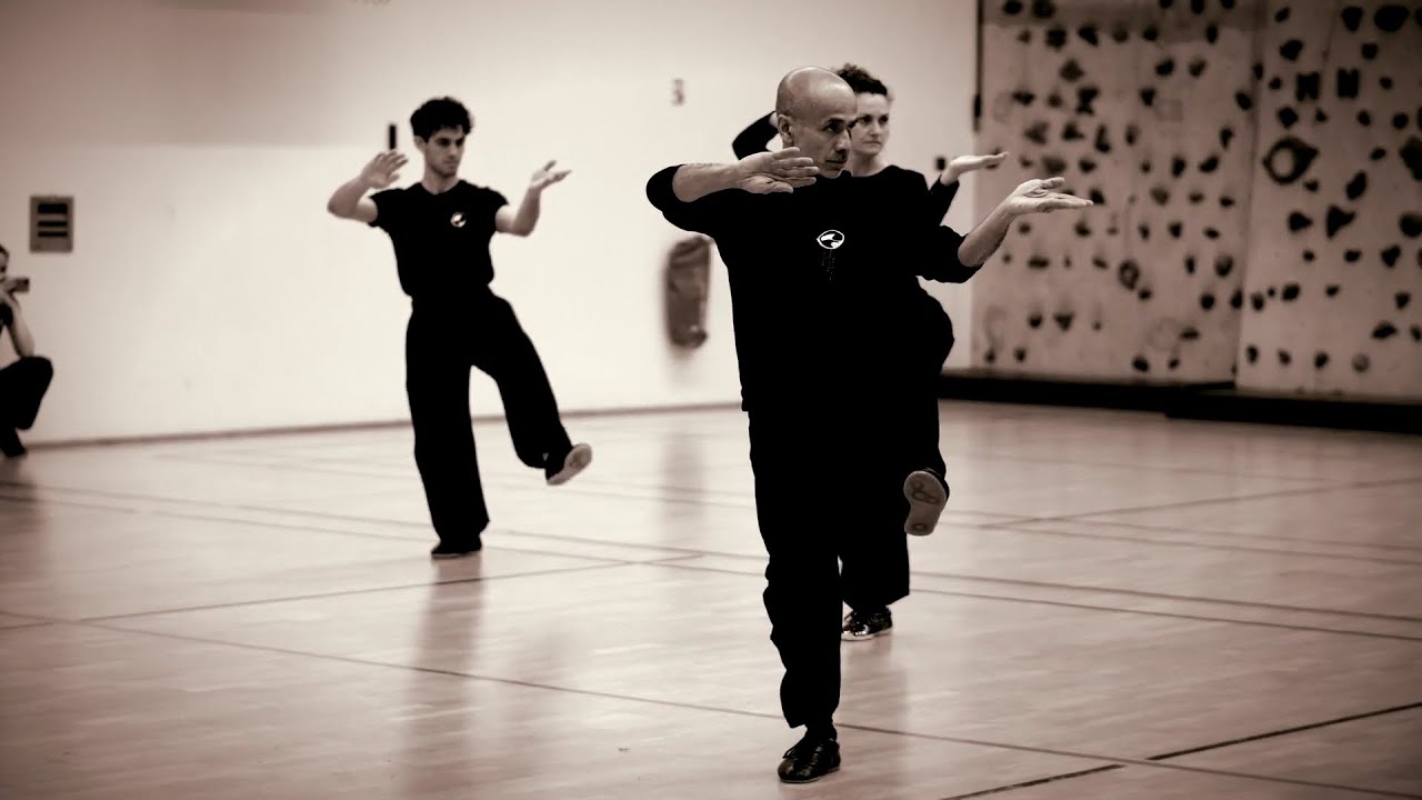 Stage de Taichi Chen forme 36 #taichi