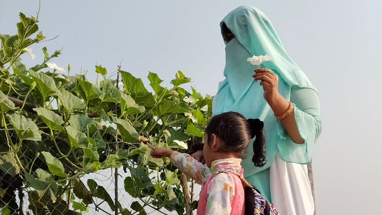  “স্বাস্থ্য, সম্পদ ও সম্পর্ক — জীবনের আসল অগ্রাধিকার”|কুরআনের আলোকে আলোচন ||আনন্দময় জীবন উপভোগ#viral