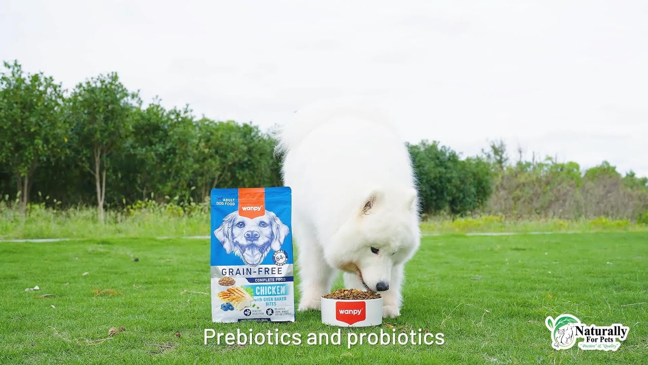 Wanpy Grain Free Complete Food for Dogs