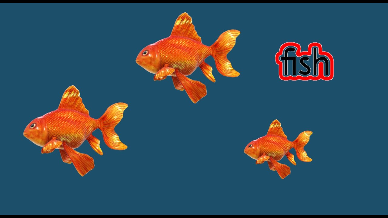 Fish  CVI friendly video for kids