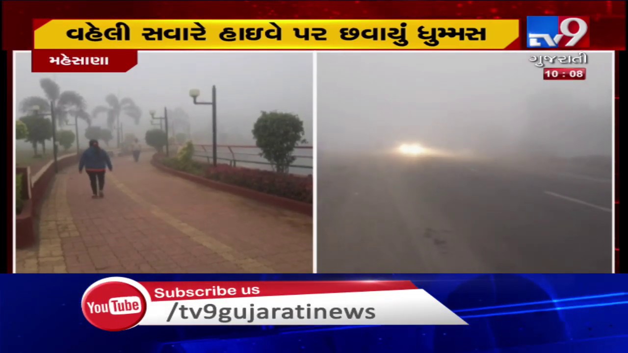 Foggy weather lead to low visibility in Tapi and Mehsana, early morning today | TV9News