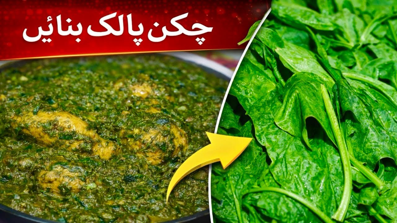 مزیدار چکن پالک بنائیں | آسان اور دیسی طریقہ | Chicken Palak Recipe in Urdu