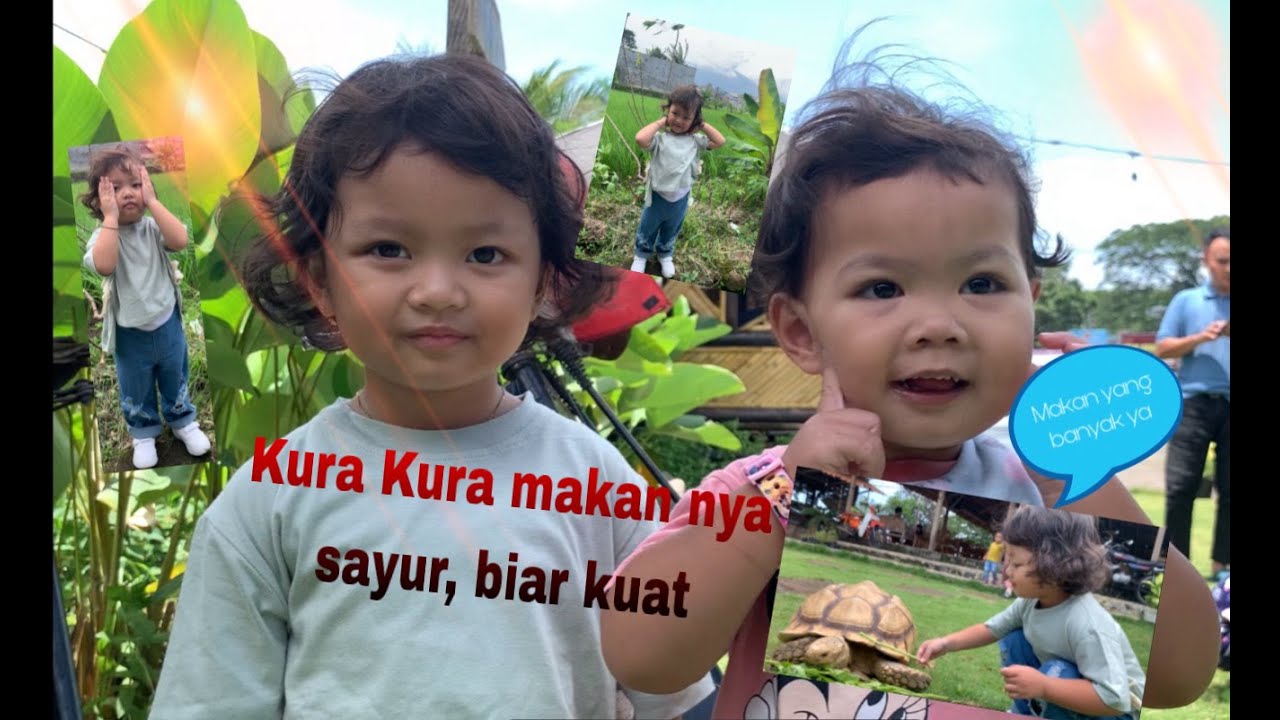 Kura Kura nya ternyata makan sayur, biar kuat