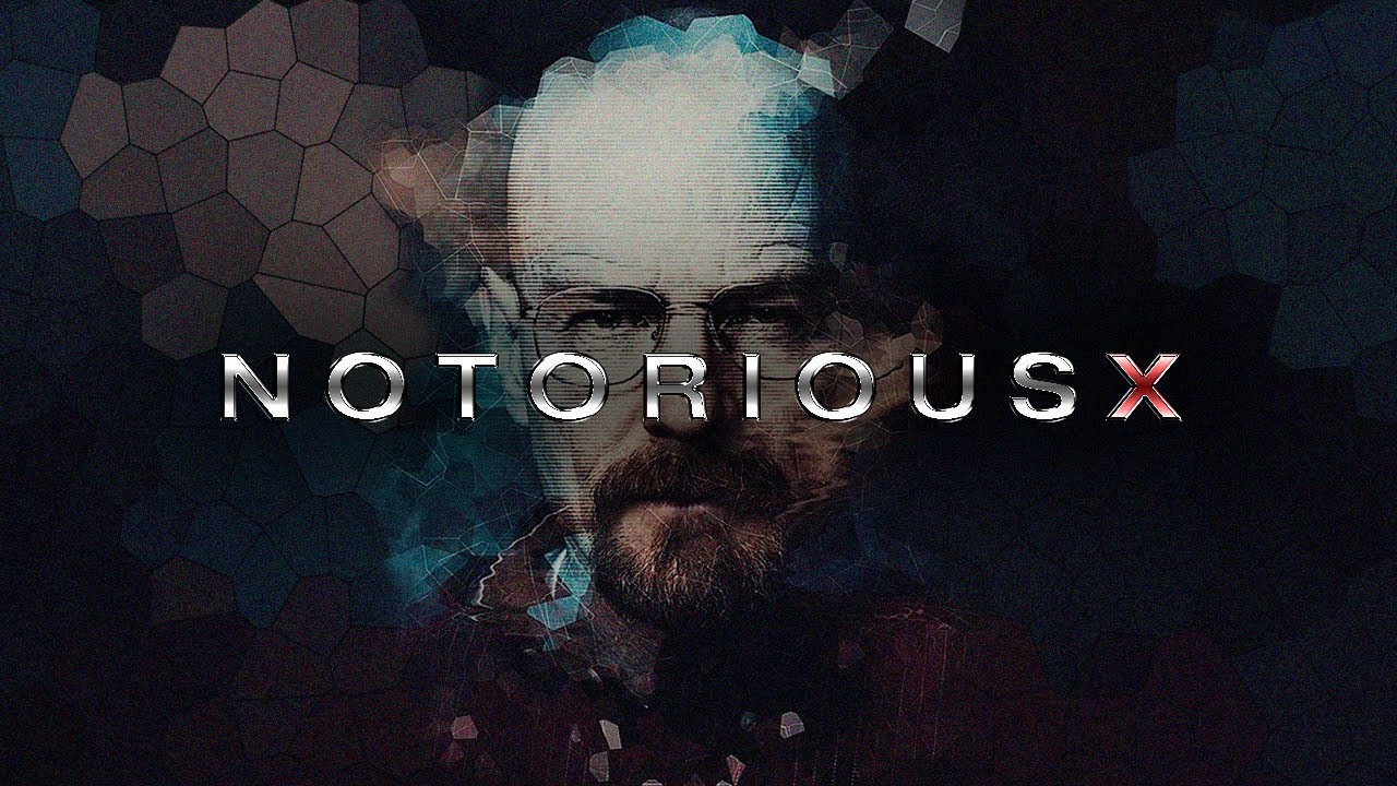 BREAKING BAD | FEEL ALIVE/IN THE HOUSE OF FLIES