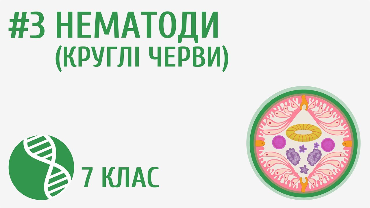 Нематоди (Круглі черви) #3