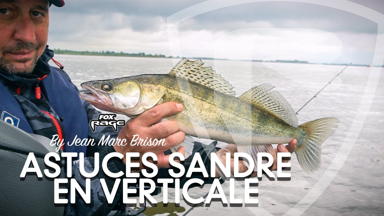 ***FOX RAGE TV*** ASTUCES VERTICALE  BY JMB