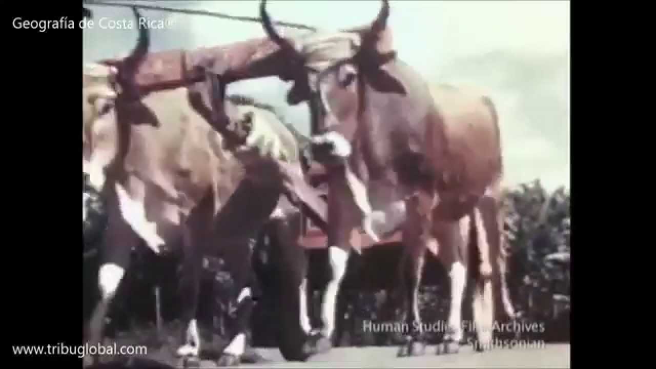 Costa Rica en 1946 (Versión extensa)