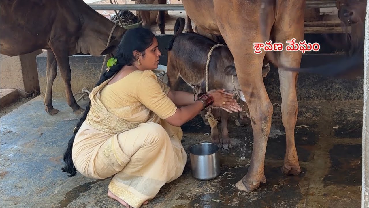 స్ర్తీ అంటే ఇంతే ఉండాలా॥తోట పని@sravanamegham 