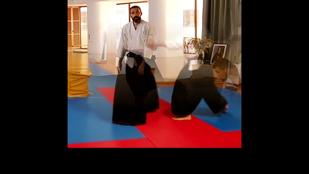 Aikido Luis Mochón. Seminario de Mallorca 2022.Musubi Aikido