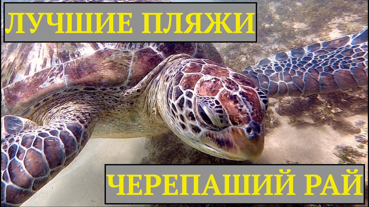 Влог о пляжах Шри-Ланки. Унаватуна, Далауэлла, Thalpe beach, Когалла, Мирисса и др