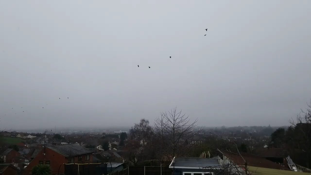 2026/01/08 time lapse video