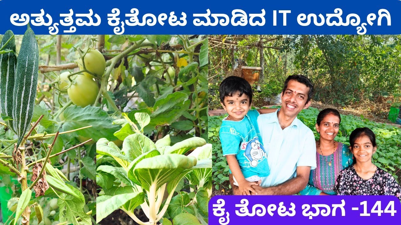 ಸಾವಯವ ತರಕಾರಿಗೆ ಬೆಳೆಯುವುದು ಸುಲಭವೇ‼️ ಕೆಲಸದಲ್ಲಿ ಬಿಜಿ ಎನ್ನುವವರಿಗೆ ಇಲ್ಲಿದೆ ಉತ್ತರ⁉️@localfarmers_india 
