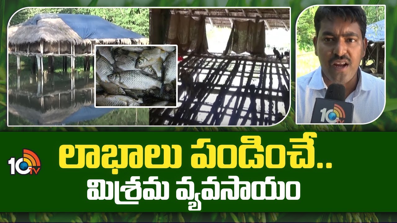 Mixed Farming | లాభాలు పండించే.. మిశ్రమ వ్యవసాయం | Matti Manishi | 10TV News