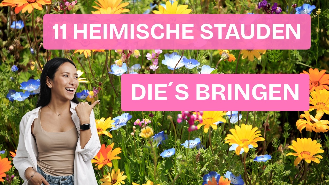 11 heimische Wildstauden, die Bienen 🐝🐝 völlig durchdrehen lassen