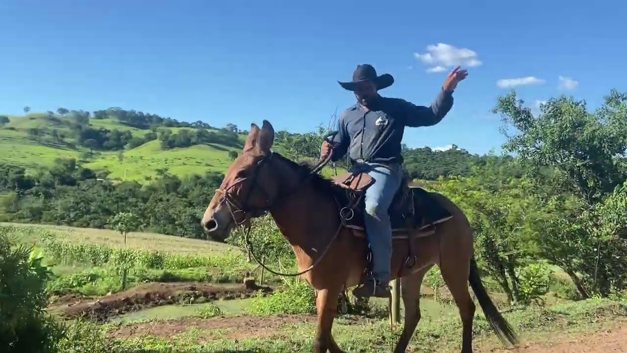 “Montei na Mulona que Empaca pela terceira vez 😤 Será que vai ficar boa 🤔