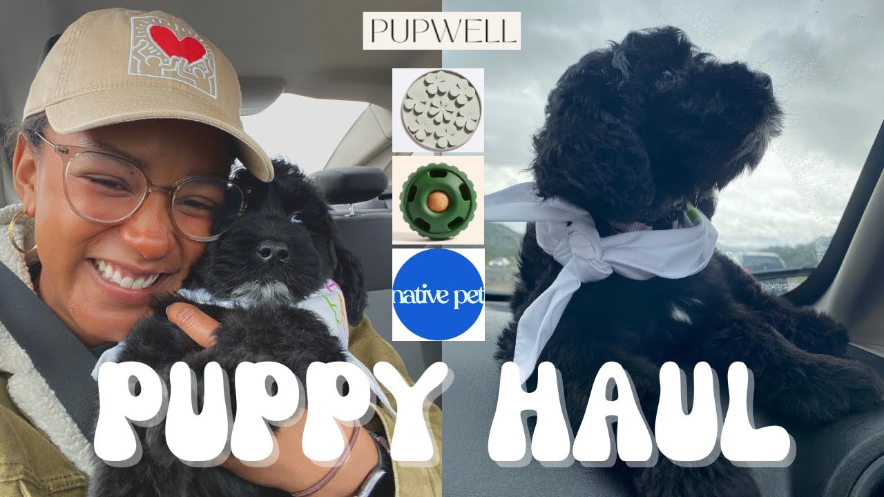 PUPPY HAUL: EVERYTHING I GOT FOR MY NEW PUPPY
