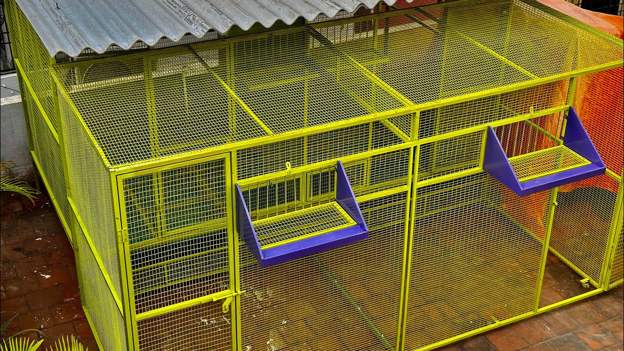 Racing loft | aviary | loft design | master cage ideas