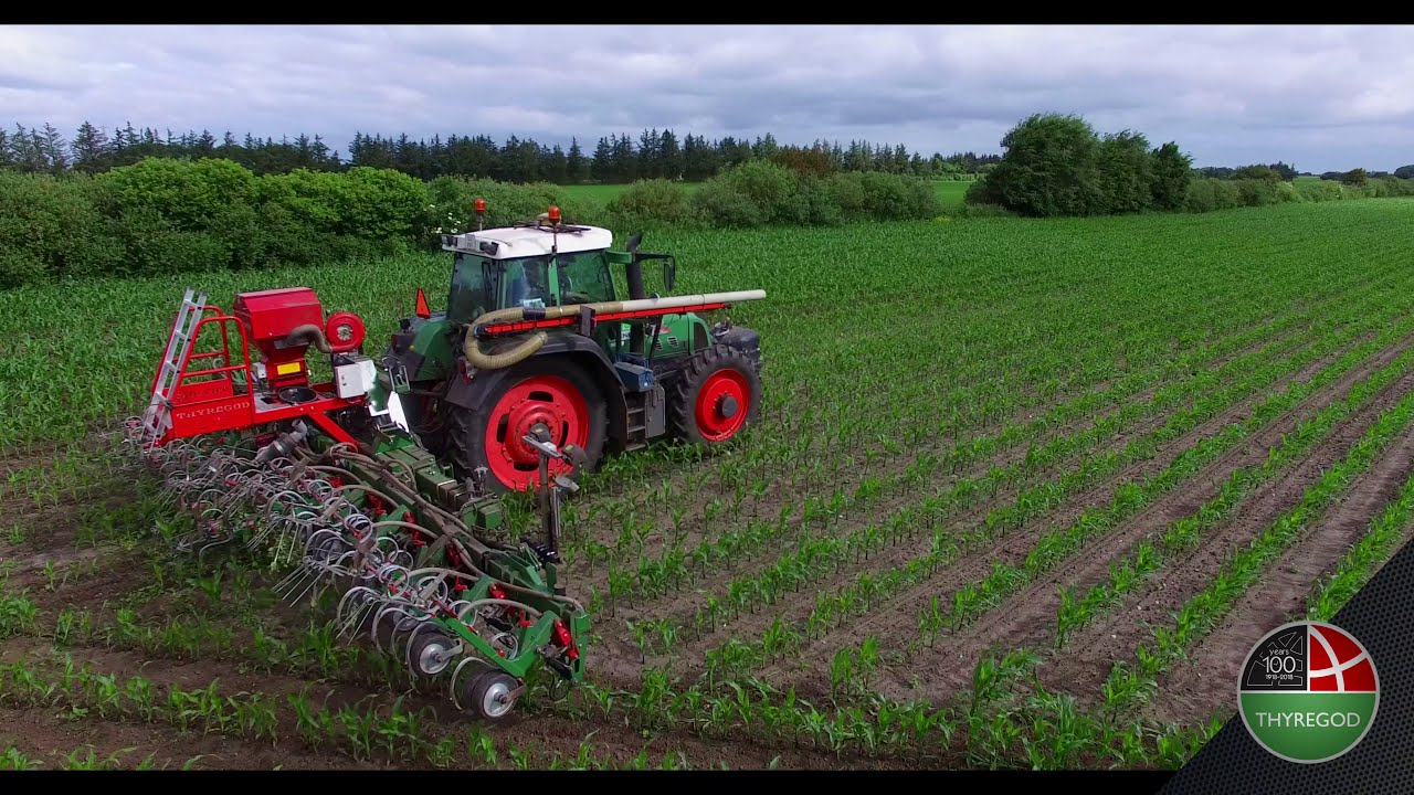 TRV Inter row cultivator Cultivator /Hackmaschine - 8 meter | THYREGOD