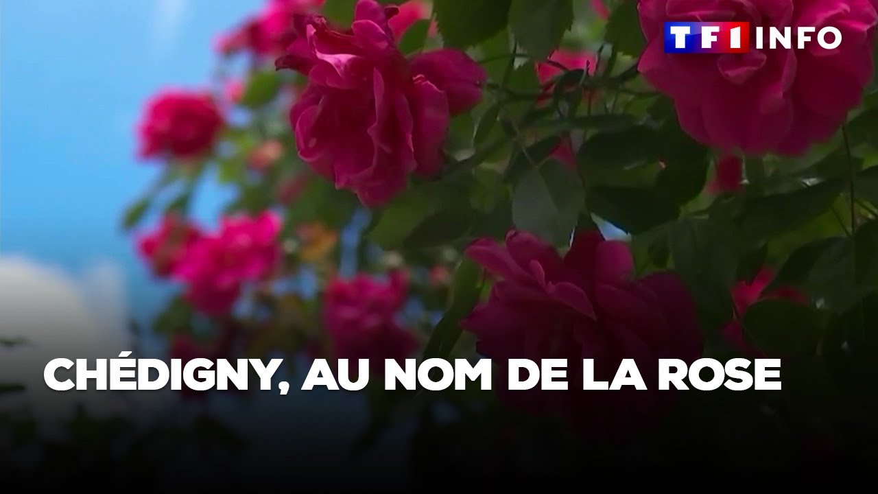 Chédigny, au nom de la rose