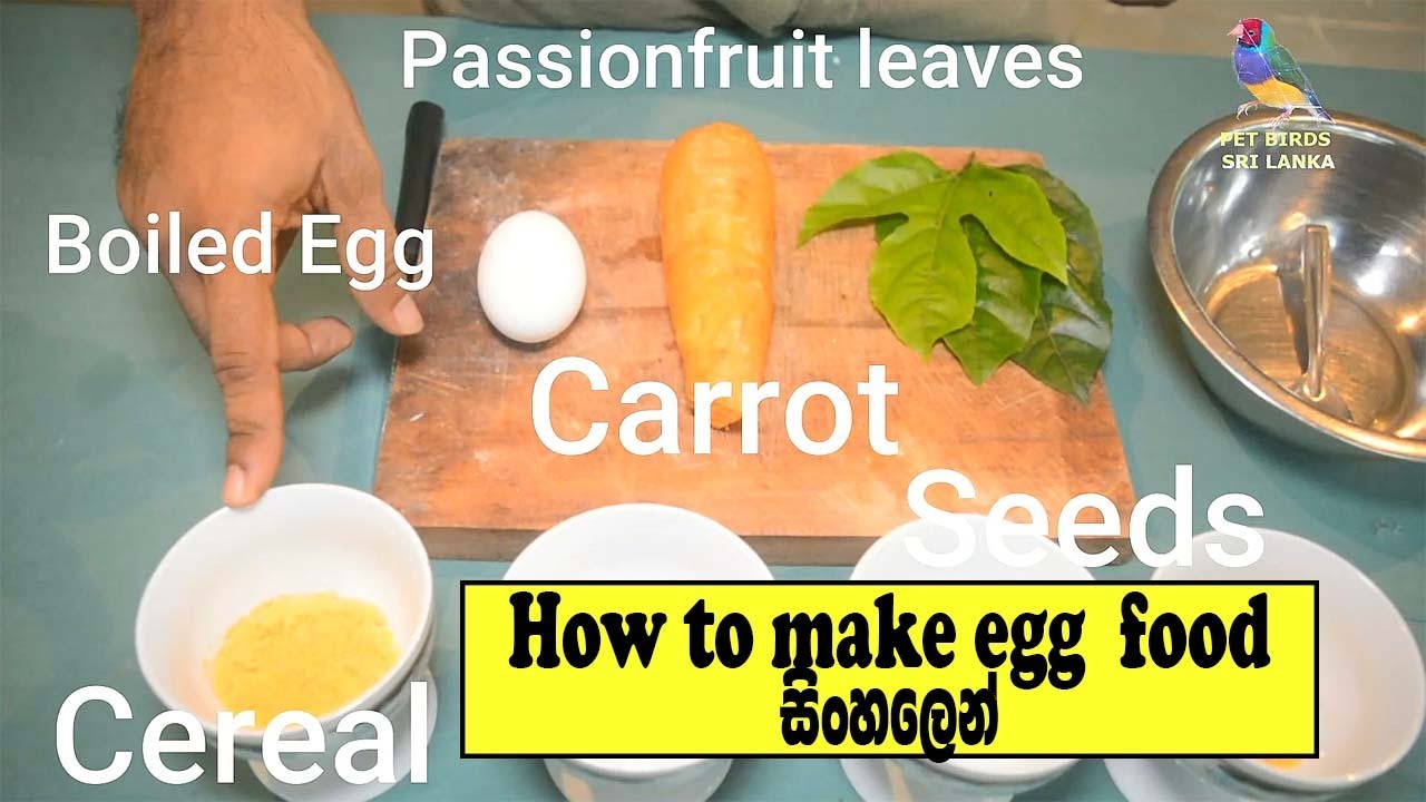 Pet Birds Sri Lanka-How to make egg food for gouldian Finches