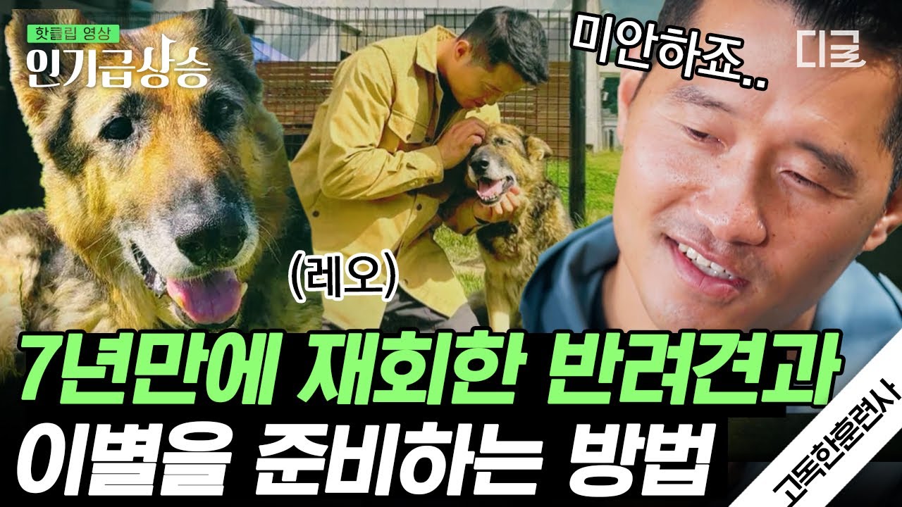 [#인기급상승] 7년 반 만에 첫 주인 강형욱과 재회한 순간, 2살 시절로 돌아간 레오… 반려견과 함께 한 사람이라면 고민해봤을 법한 이별의 준비 | #고독한훈련사