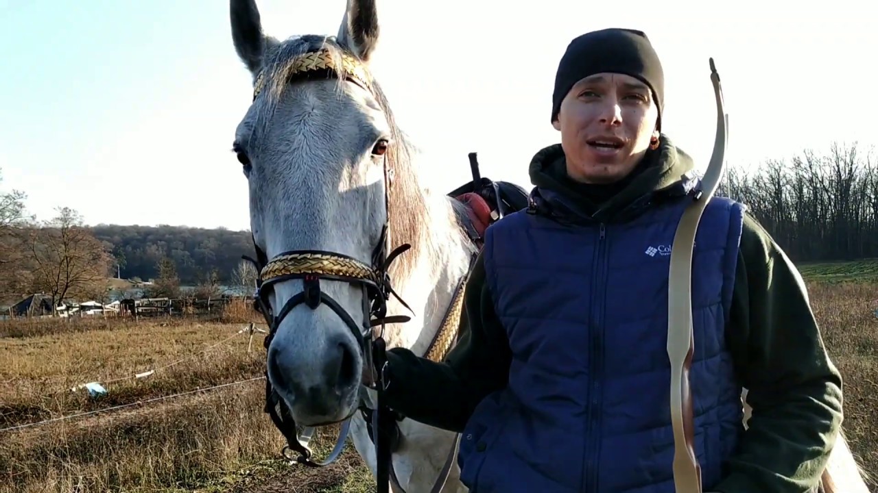 Огляд Лука Murad Horseback Archery