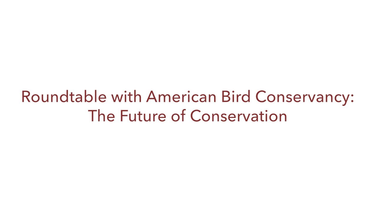 Roundtable with American Bird Conservancy: The Future of Conservation