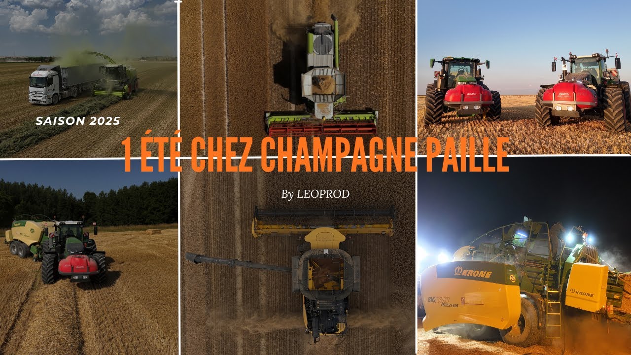 Un &eacute;t&eacute; chez Champagne Paille -2025